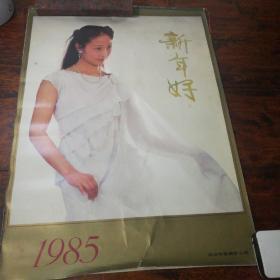 老挂历1985:新年好