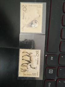 邮票，野骆驼套票