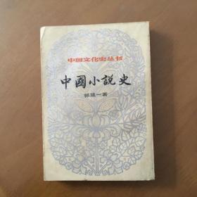 中国小说史 下册（中国文化史丛书）