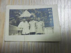 老黑白照片 1980年代湖南长沙岳麓山爱晚亭枫林桥留影6*4厘米