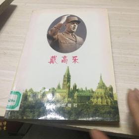 戴乐高