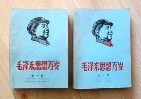 *****期间 60年代末期（1967年7月以后的某个时间） 毛泽东思想万岁 第一册 第二册 合售 手刻版油印本 印有林彪题词 题词页及目录页有手写签名 第一册426页 第二册424页+11页 16开 两册尺寸大小不一见描述 净重1.2公斤 二手书籍卖出不退不换