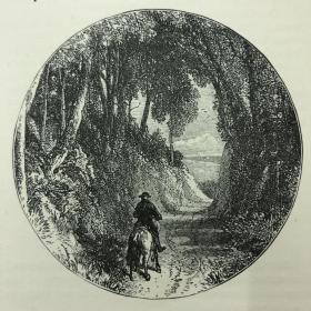 The Dairyman's Daughter奶工的女儿