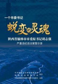 蜕变的灵魂  一个县委书记《蜕变的灵魂》陕西榆林市市委原书记胡志强严重违纪违法案警示录