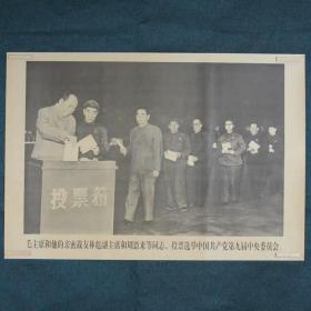 毛主席和他的亲密战友林彪副主席及周恩来同志投票-约高75厘米宽51厘米