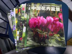 杂志 中国花卉盆景 2007年全年11本（第一 至 十二期 缺第2期）