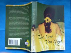 The Last Van Gogh - A Novel by Alyson Richman  《最后的梵高》英文原版