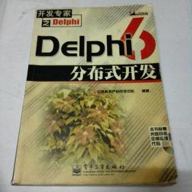 Delphi 6分布式开发