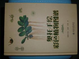 GSЖ（30）奥托手绘彩色植物图谱，15年308页（新疆西藏青海甘肃宁夏内蒙海南以上7省不包快递）