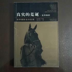 ［世界摄影名作欣赏］真实的荒诞.先锋摄影（彩铜）一版二印7000册
