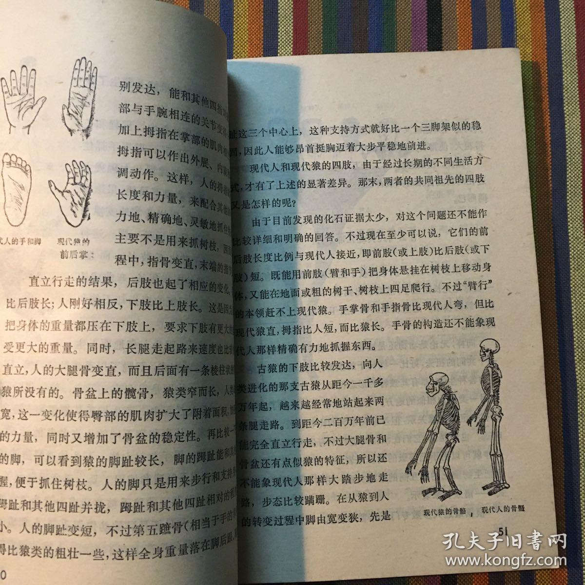 十万个为什么 19 人类史