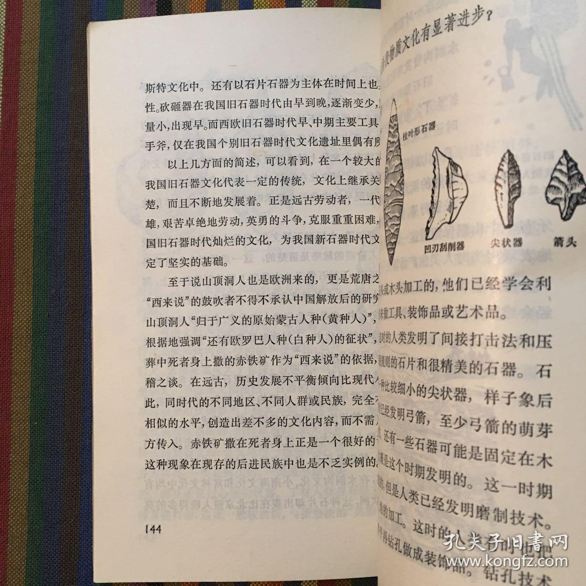 十万个为什么 19 人类史