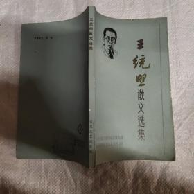 百花散文书系 现代部分 王统照散文选集