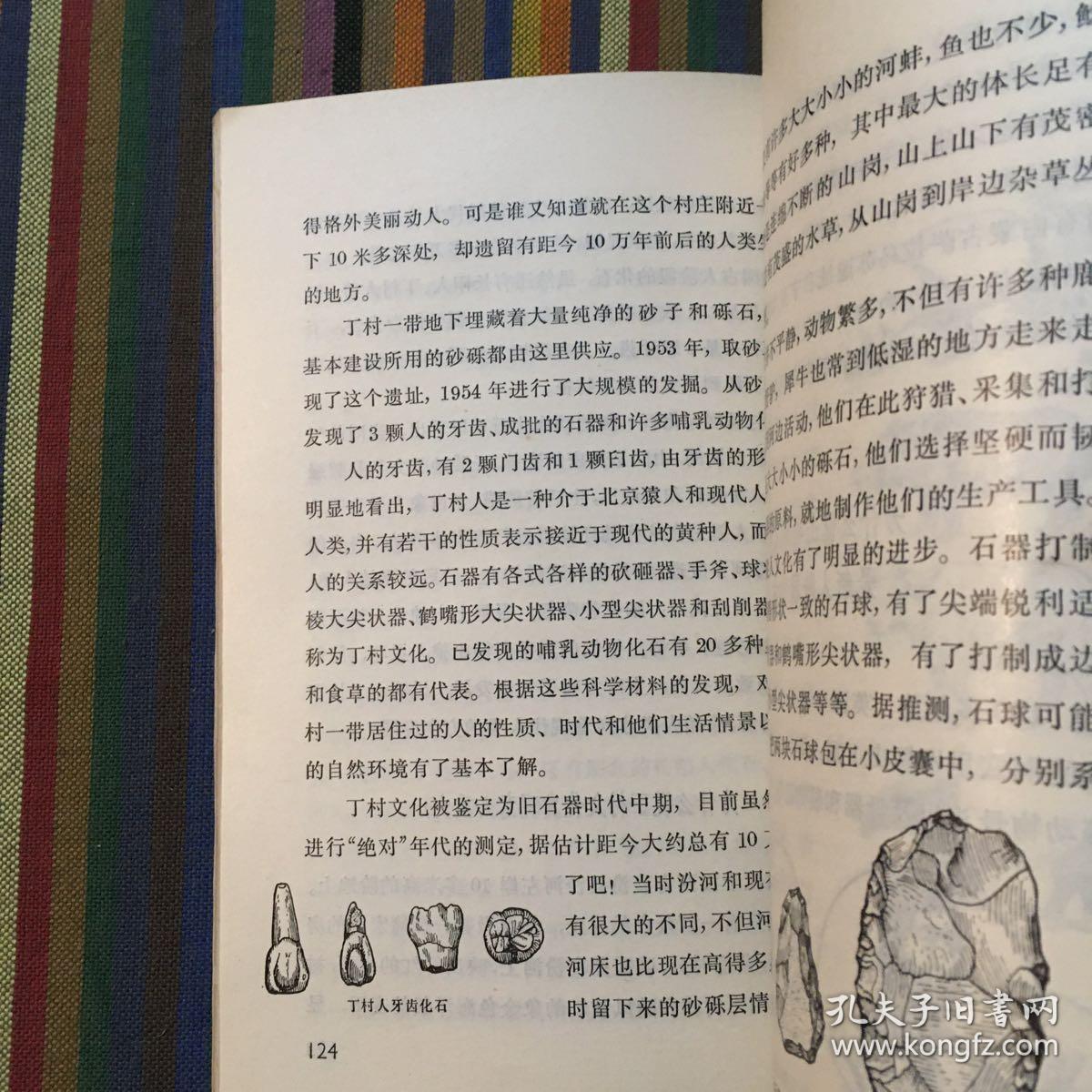 十万个为什么 19 人类史