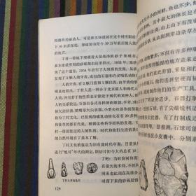 十万个为什么 19 人类史