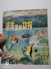 1976年连环画 海洋里的动物