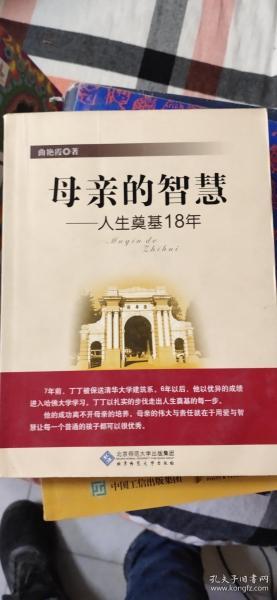 母亲的智慧：人生奠基18年?（正版现货）