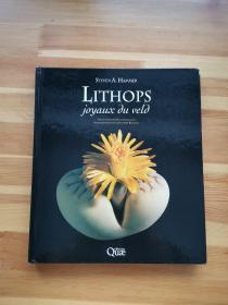 LITHOPS Treasures of the veld