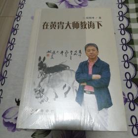 在黄胄大师教诲下（全新10品  8本合售）