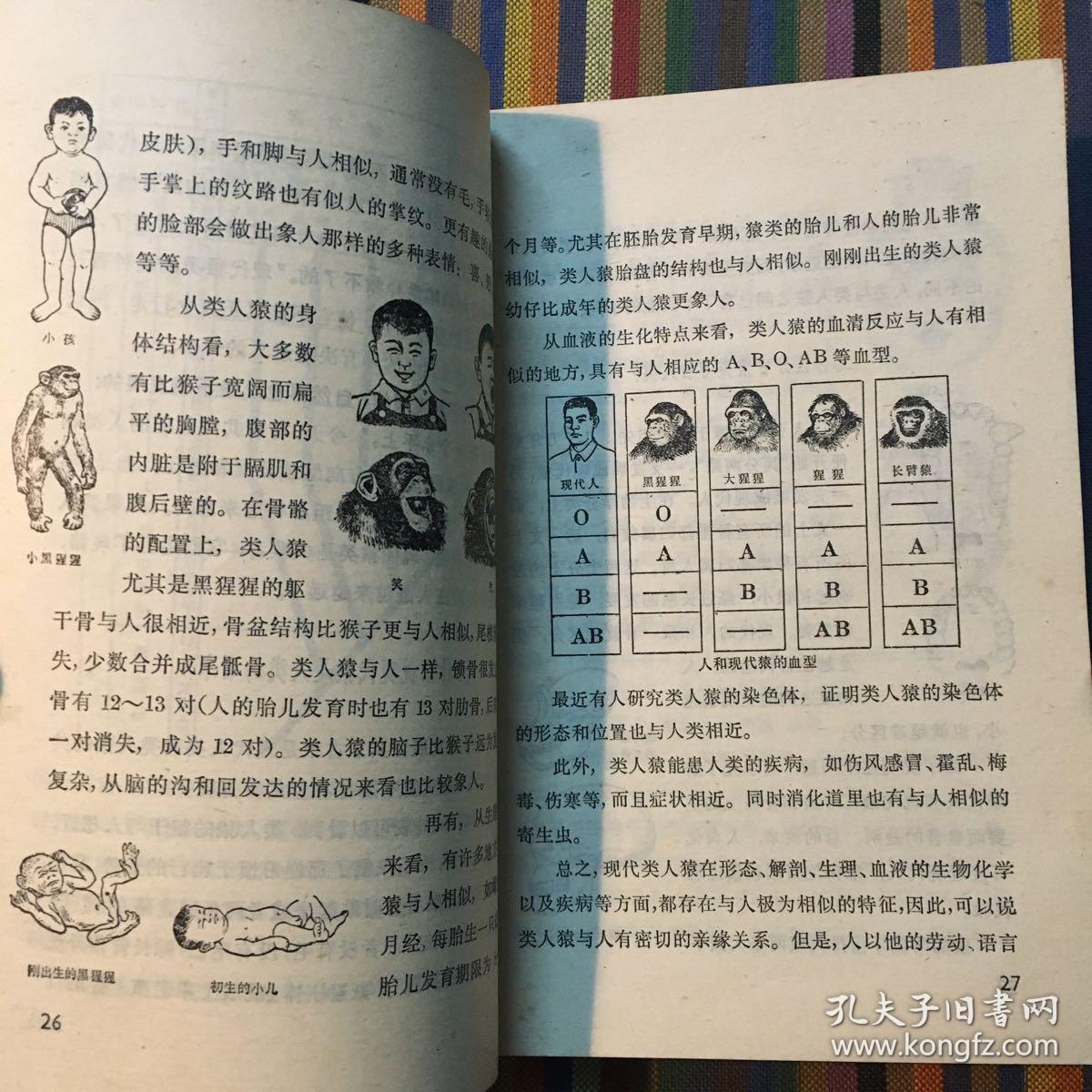 十万个为什么 19 人类史