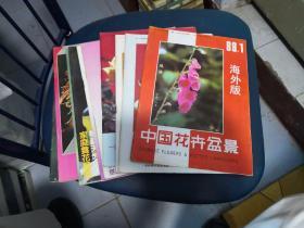 杂志 中国花卉盆景 1989年全年10本（第一 至 十二期 第4、5期是一本，第11、12是一本）