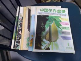 杂志 中国花卉盆景 1993年全年11本（第一 至 十二期 缺第3期）