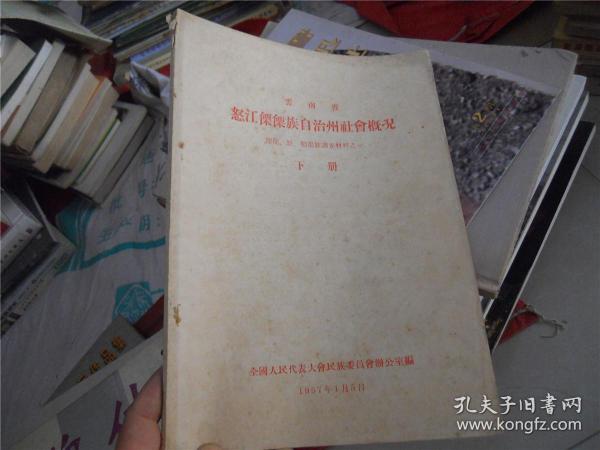 云南省 怒江傈傈族自治州社会概况（上下册）