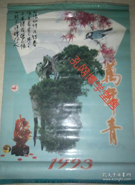 塑膜挂历 1993年万年青13张