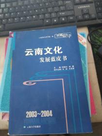 云南文化发展蓝皮书 2003-2004