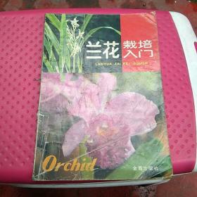 兰花栽培入门卢思聪
