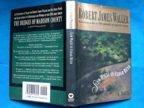 Slow Waltz in Cedar Bend - A Novel by Robert James Waller, bestselling author of The Bridges of Madison County 《廊桥遗梦》作者的另一名作，英文原版 精装本