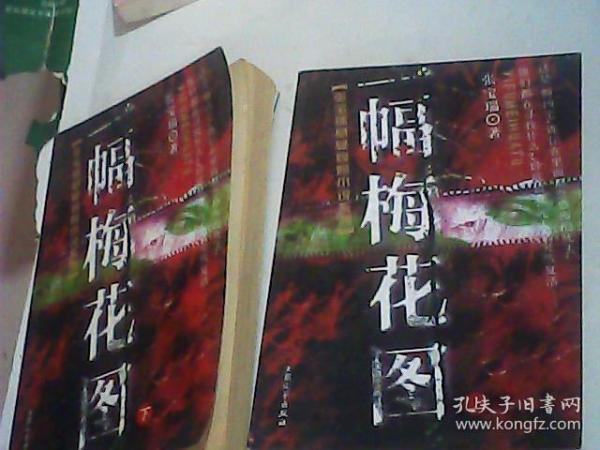 “文革”手抄本作家张宝瑞悬疑惊险小说系列 一幅梅花图 上下册2