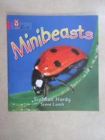 外文书Minibeasts   （共15页）详见图片