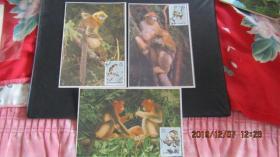 特60 金丝猴 邮票极限片3枚全 87年林业版片源 销90年神农架戳