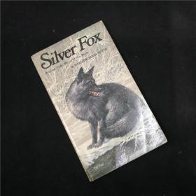 外文书 英文原版小说 silver fox 银狐 原名：Blood in the Snow 雪中血