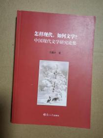 怎样现代，如何文学？ 中国现代文学研究论集