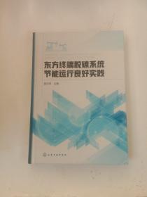 东方终端脱碳系统节能运行良好实践 精装