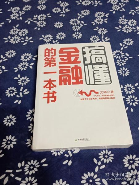 搞懂金融的第一本书