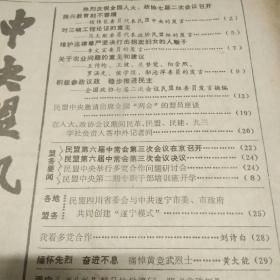 中央盟讯 1989（1-12缺3）共11期