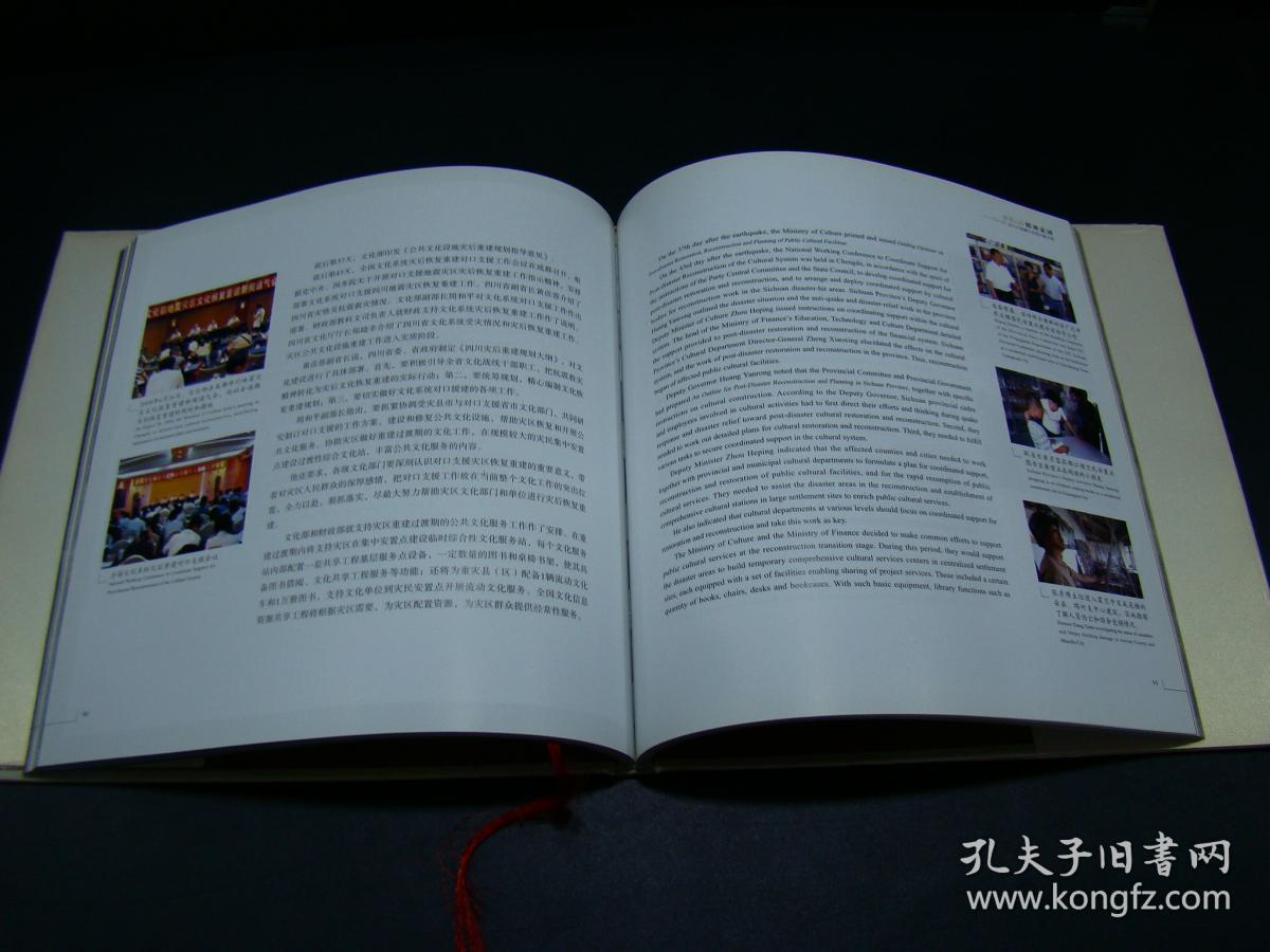 废墟上的精神家园:“5·12”汶川大地震中的四川图书馆:Sichuan libraries after the May 12th Wengchuan earthquake