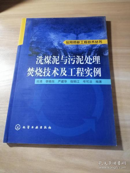 洗煤泥与污泥处理焚烧技术及工程实例