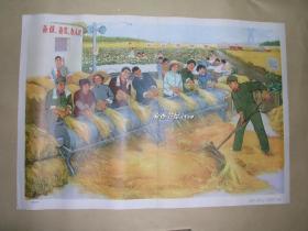 秋收季节 年画一张：（1978年初版，，上海教育出版社，彩色印刷，2开本，约780*540，95品）