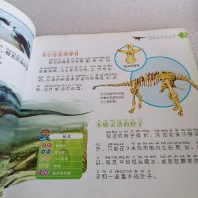 金牌宝宝-恐龙世界侏罗纪恐龙公园