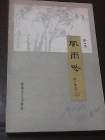 风雨吟（许士杰著  湖南文艺出版社）