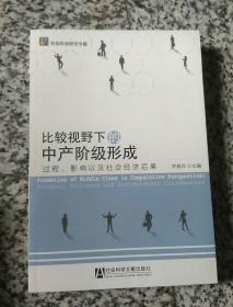 比较视野下的中产阶级形成：过程、影响以及社会经济后果