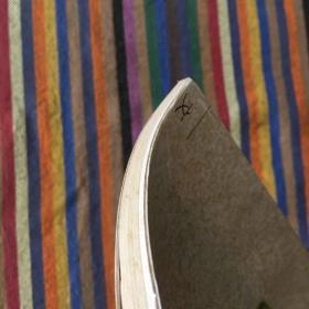 开明文库·第二辑：野蔷薇