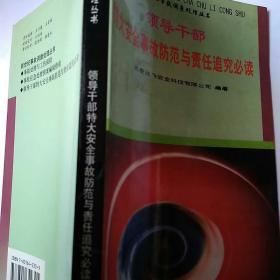 领导干部特大安全事故防范与责任追究必读