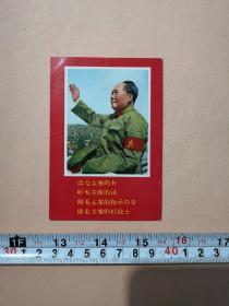 毛泽东主席检阅红卫兵、林彪题词