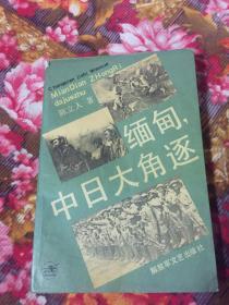 缅甸，中日大角逐（中国远征军征战历史纪实）