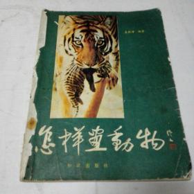 怎样画动物《1982年1月一版一印》